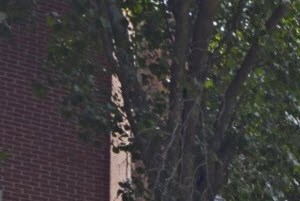 One Coolidge Place 1-2 Beds Apartment for Rent - Photo Gallery 2