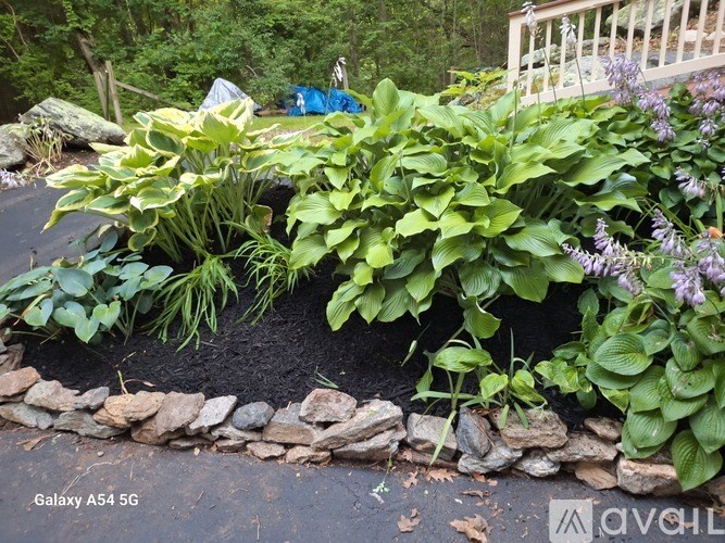 A garden with a stone border and a variety of plants.