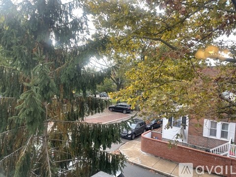 A tree-lined street with cars parked on the side.