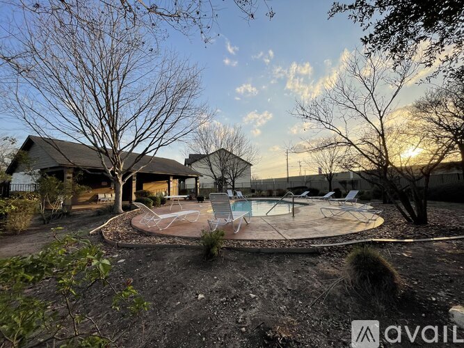 A backyard with a pool and a tree.