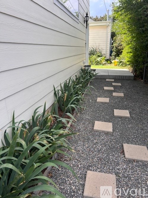 A white door with a plant on the sidewalk.