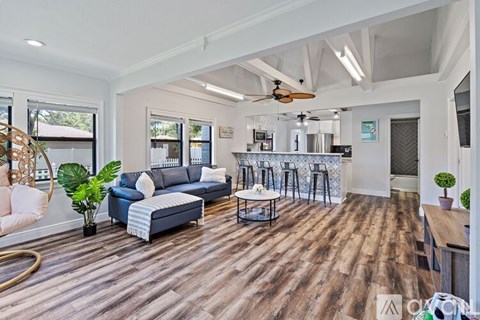 A living room with a blue couch and a wooden floor.