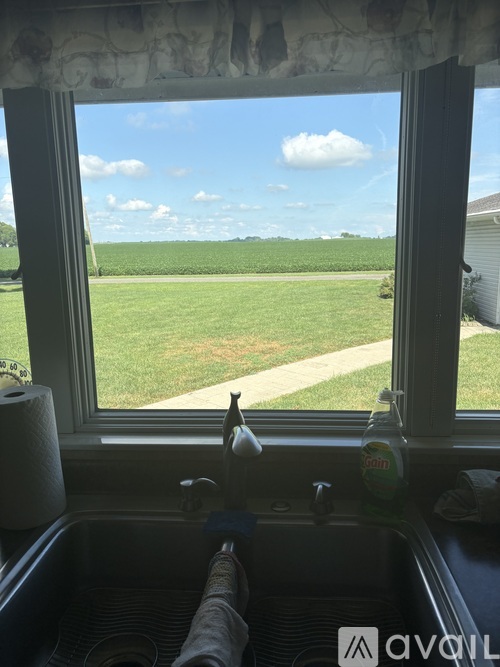A kitchen sink with a bottle of Gatorade on the counter.