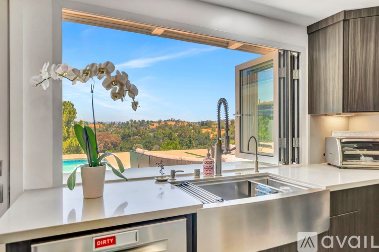A kitchen with a sink, a window, and a plant on the counter.