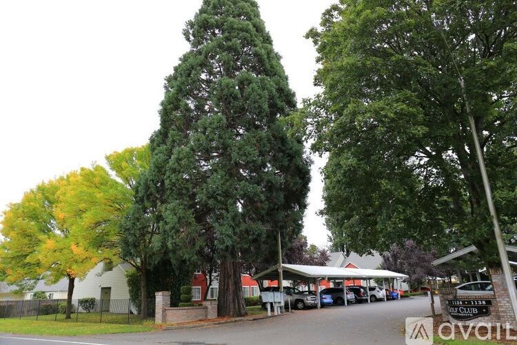 A tree with yellow leaves is in front of a white house.