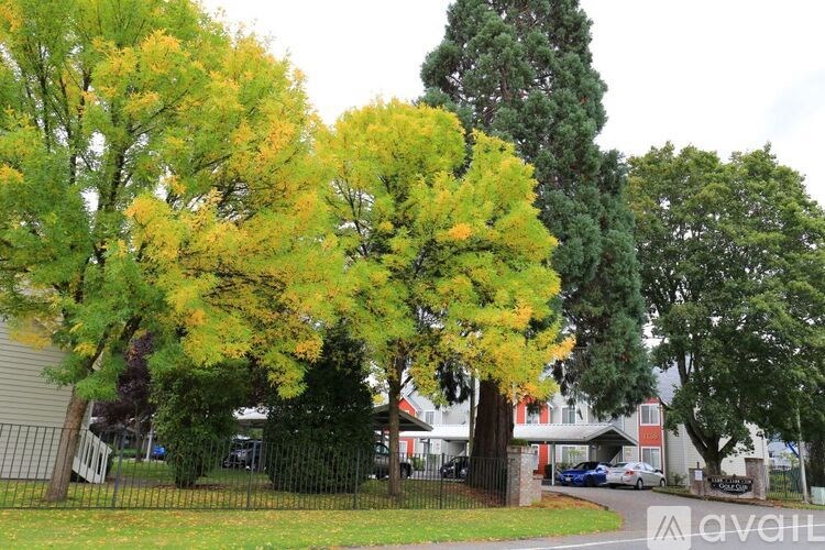 A tree with yellow leaves is in the foreground.