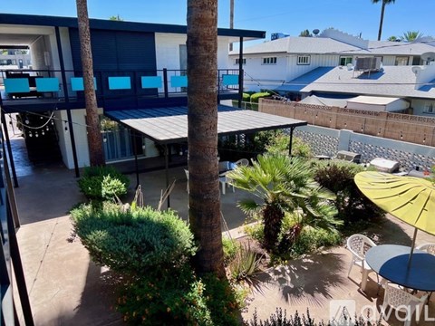 A patio with a table and chairs and a palm tree.