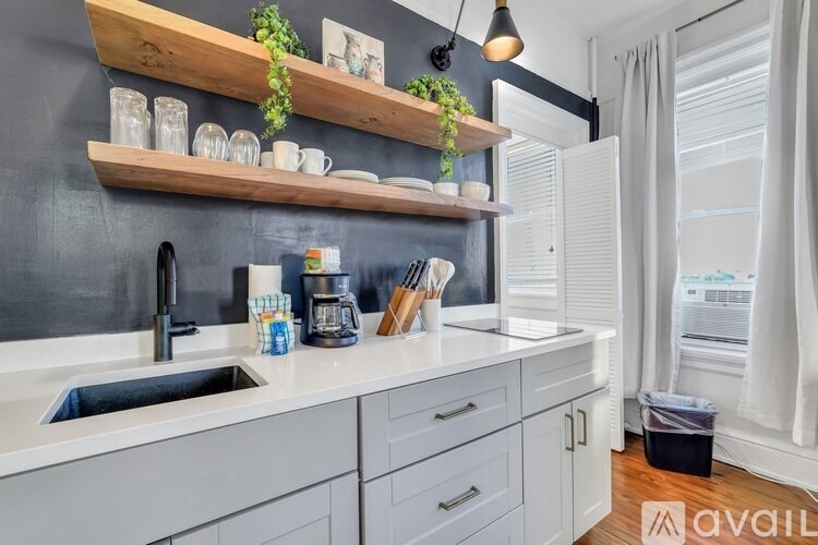 A kitchen with a sink, counter, and shelves with plants and containers.