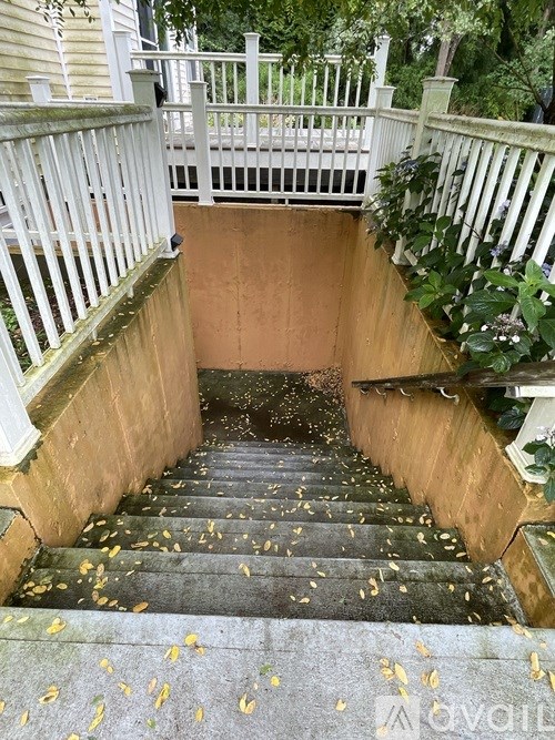 A staircase with a white railing and steps covered in leaves.