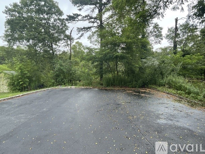 A wet road surrounded by trees and greenery.