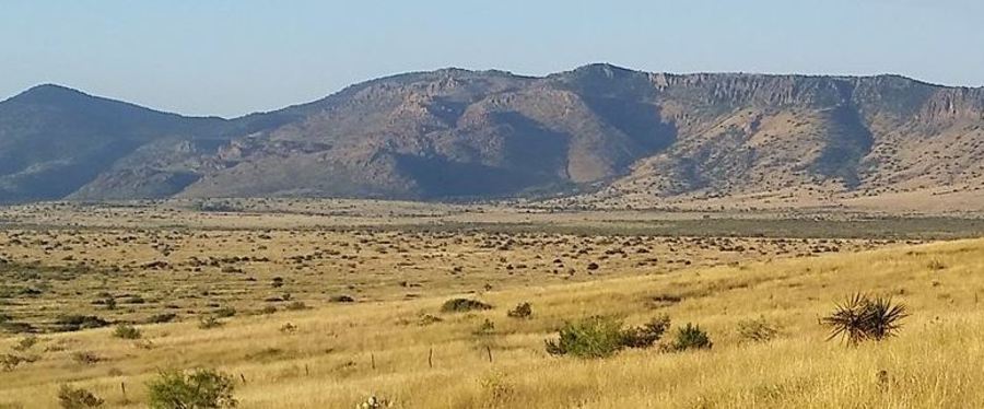 A vast grassland stretches out in front of a range of mountains.