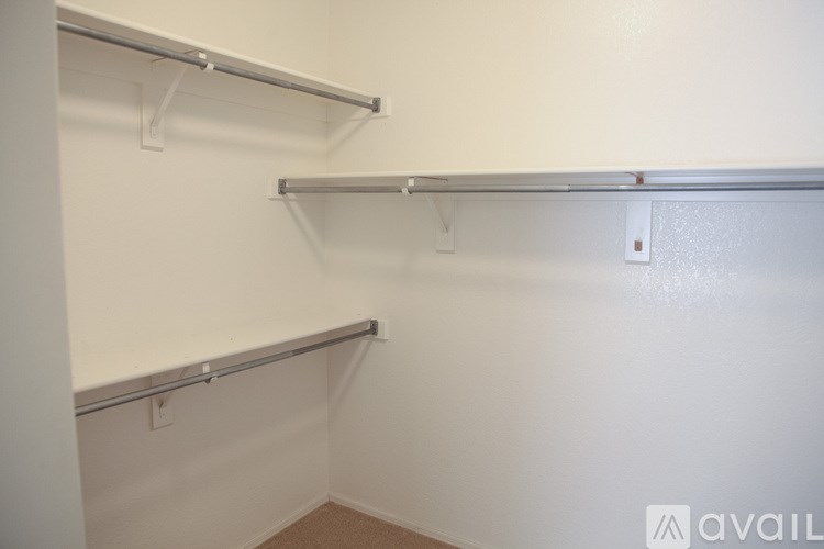 Empty walk-in closet with shelves and a carpeted floor.