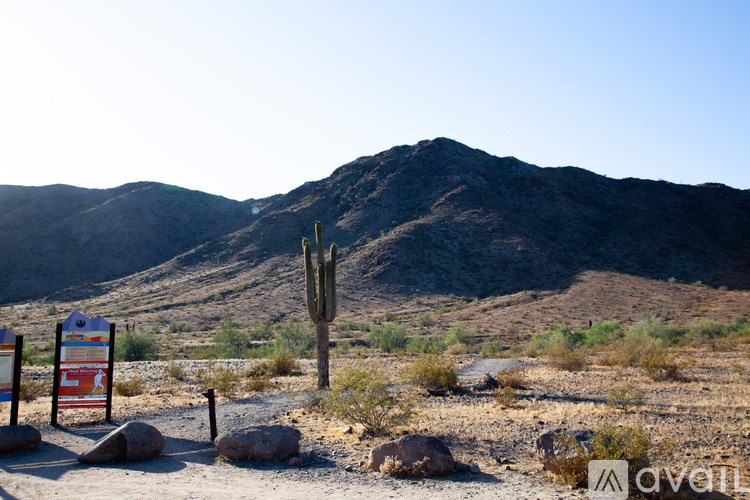 A desert landscape with a signboard and a cactus.