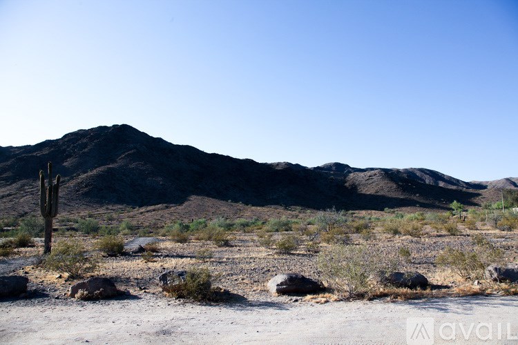 A desert landscape with a mountain in the background and a cactus in the foreground.