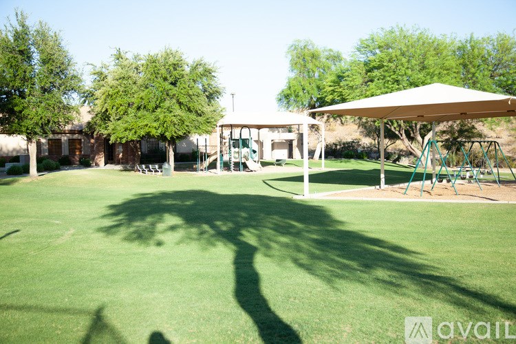 A shadow of a tree is cast on a green lawn.