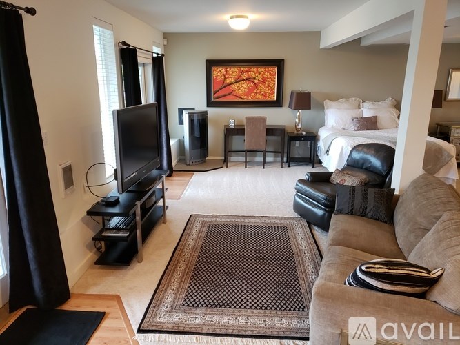 A living room with a couch, television, and a rug.