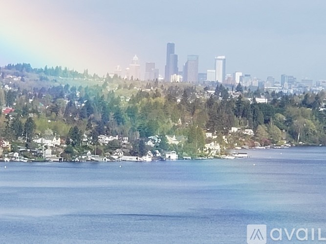 A city skyline is visible in the distance behind a body of water.