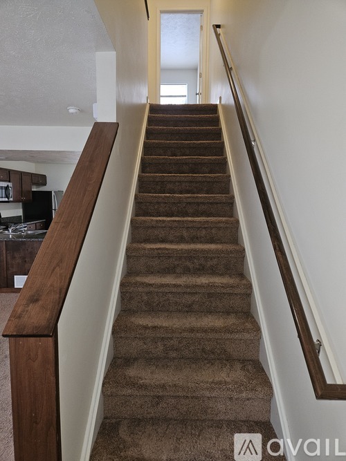 A long staircase with a carpeted runner and wooden handrails.