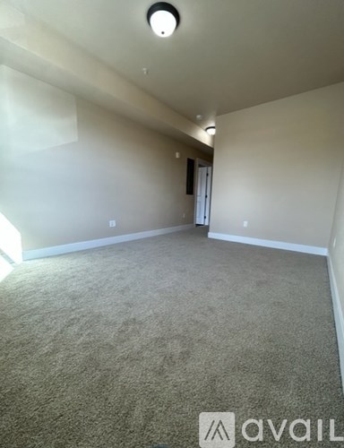 A room with beige carpet and white walls.