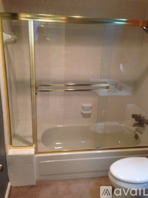 A bathroom with a glass shower door and a white toilet.