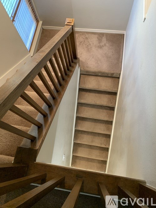 A wooden staircase with a carpeted runner.