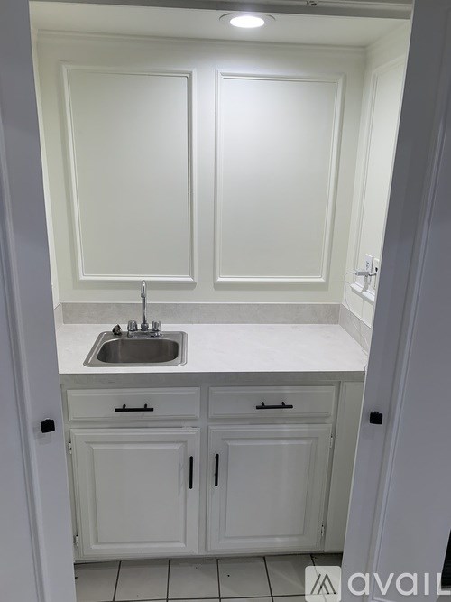 A white kitchen with a sink and cabinets.