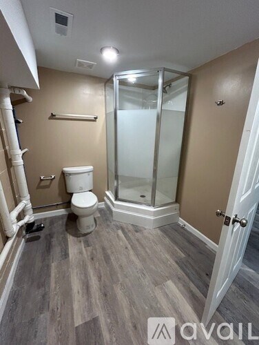 A bathroom with a toilet, a walk-in shower, and a white door.