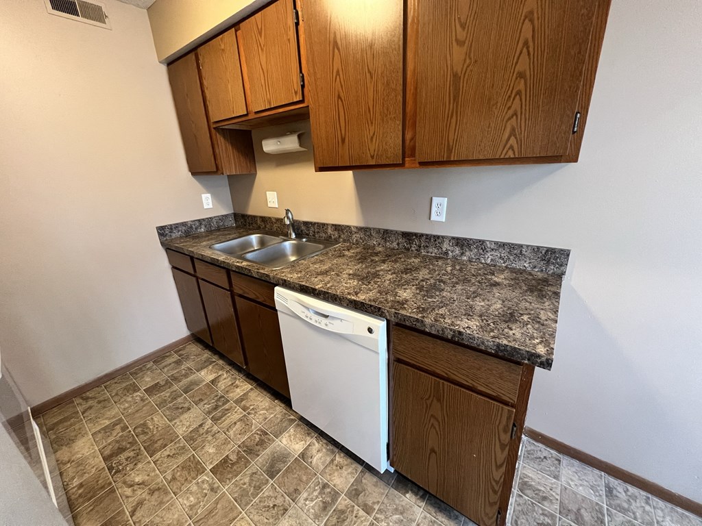an empty kitchen with a sink and a dishwasher