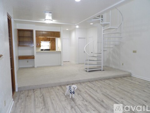 A dog is standing in a room with a spiral staircase.