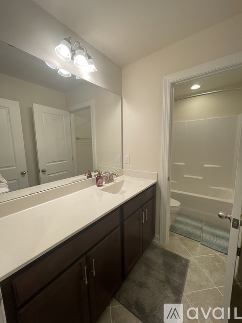 A bathroom with a sink, mirror, and a rug.
