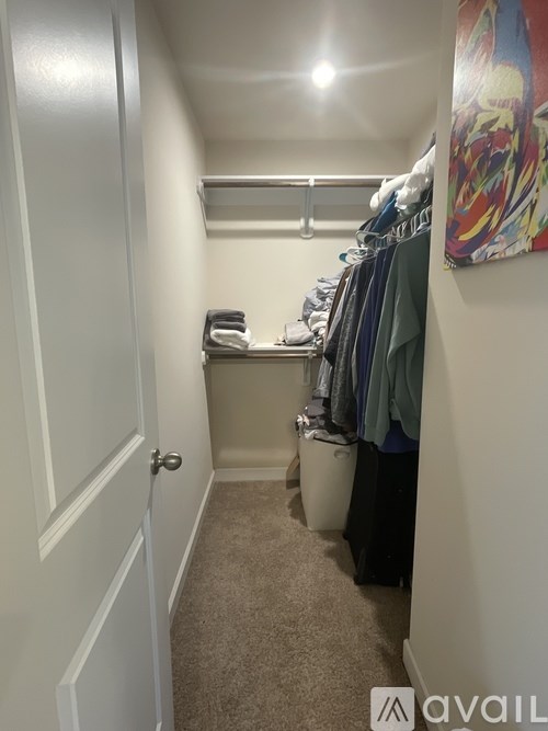 A hallway with a white door and a painting on the wall.