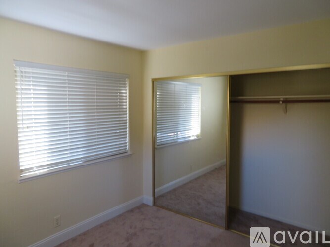 A room with a carpeted floor, a window with blinds, and a closet with a coat hanger.