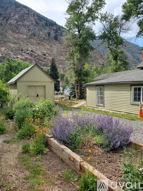 911 Taos Street 3 Beds Apartment for Rent