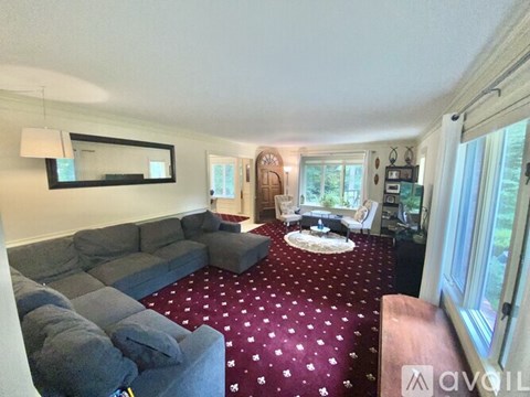 A living room with a grey sofa and a red carpet with white stars.