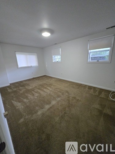 A room with carpeted floor and three windows.
