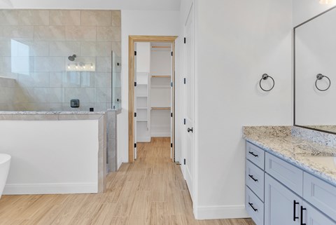 A bathroom with a marble countertop and a walk-in shower.