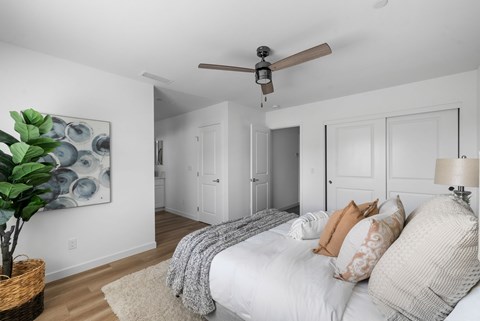 A bedroom with a bed, a ceiling fan, and a plant.