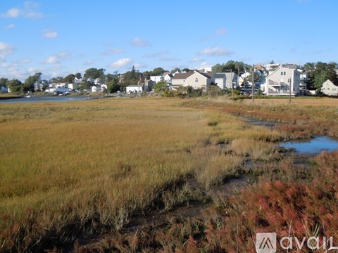 A grassy field with a small stream running through it and houses in the background.