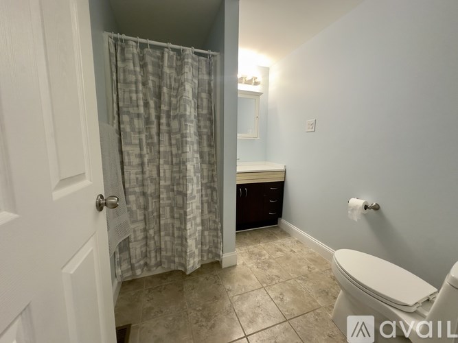 A bathroom with a toilet, sink, and shower curtain.