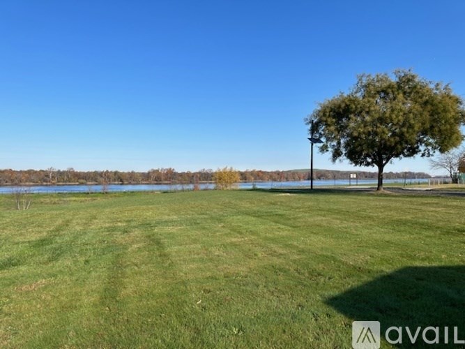 A grassy field with a tree and a body of water in the distance.
