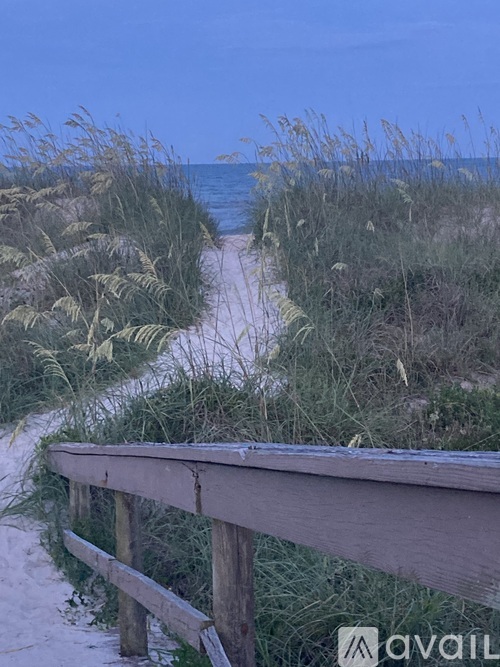 A wooden fence runs along a sandy path through the beach grasses.