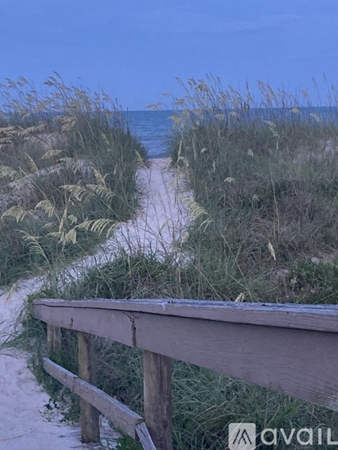 A wooden fence runs along a sandy path through the beach grasses.