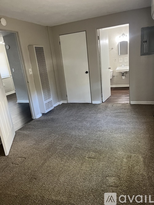 A carpeted room with a door and a mirror.