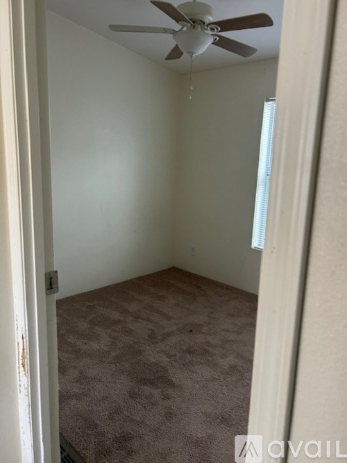 A room with a ceiling fan and carpeted floor.