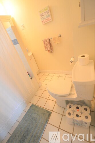 A bathroom with a toilet, a towel, and a roll of toilet paper.