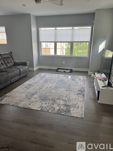 A living room with a grey couch and a rug.