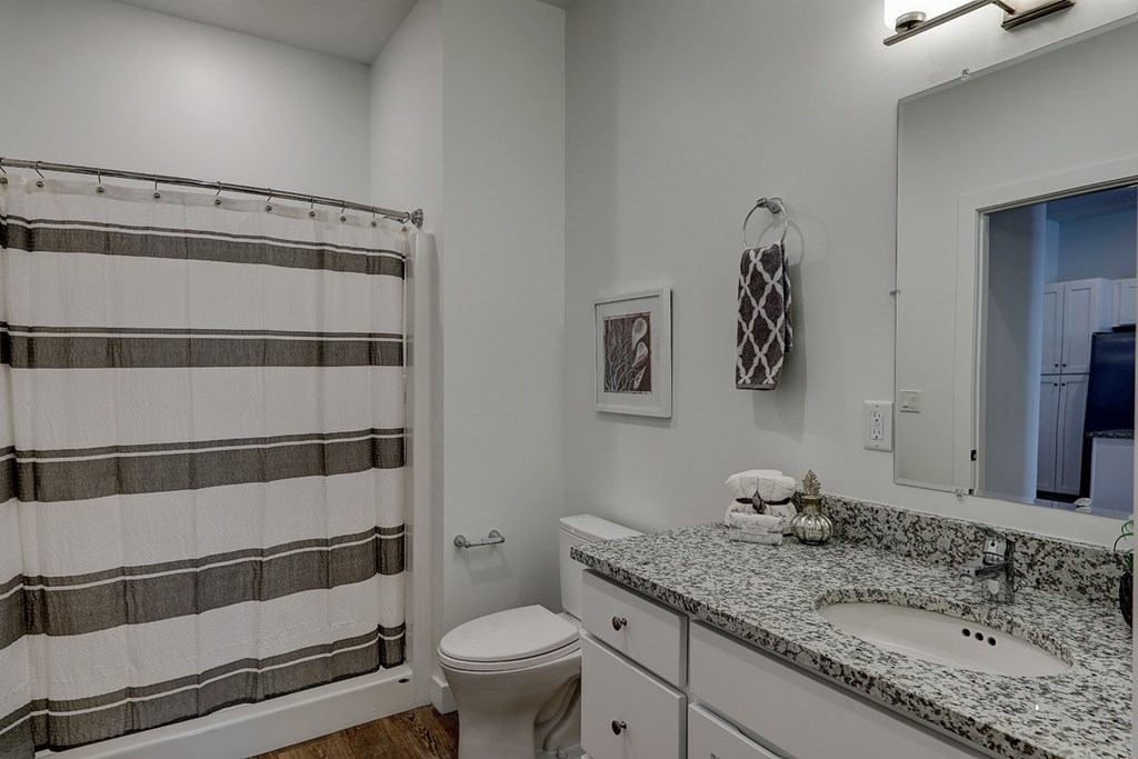 A bathroom with a toilet, sink, and shower curtain.