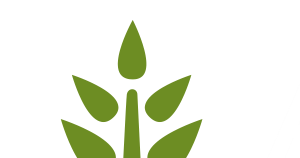 Arden Woods Apartments In Indianapolis Indianapolis Property Logo 22