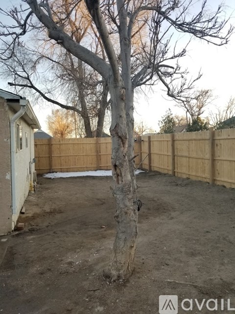 A backyard with a fence and a tree.
