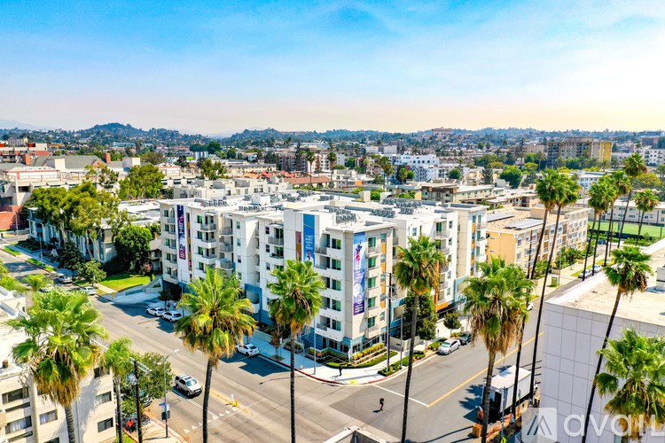 A view of a cityscape with palm trees and buildings.